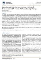 From Paris to practice: an investment-oriented framework for EU sustainability and energy storage
